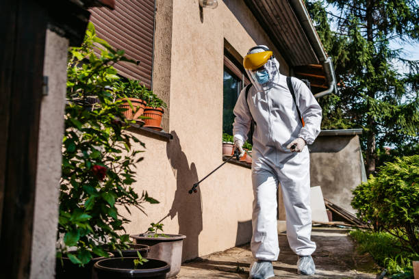 Best Rat Extermination Near Me  in Whitmore Lake, MI