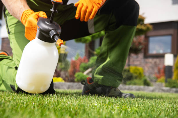 Best Rodent Control Near Me  in Whitmore Lake, MI