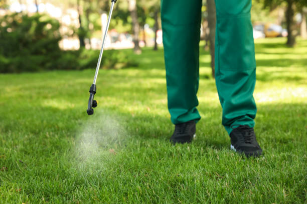 Best Pest Inspection Near Me  in Whitmore Lake, MI