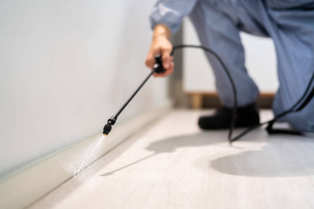 Best Flea Control Services  in Whitmore Lake, MI