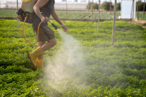 Best Residential Pest Control  in Whitmore Lake, MI