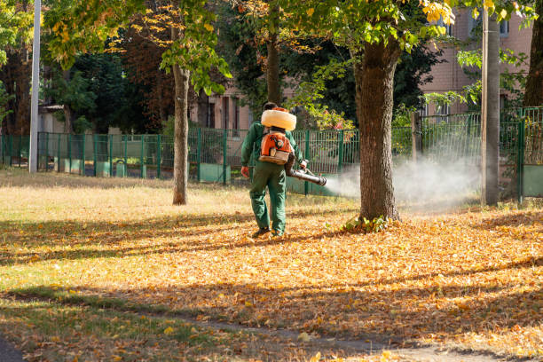 Best Pest Control Near Me  in Whitmore Lake, MI