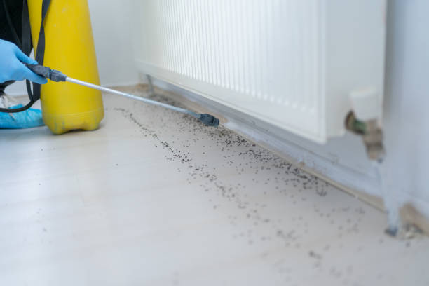 Best Pest Removal Services  in Whitmore Lake, MI